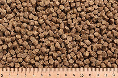 (Grundpreis 1,95 Euro/kg) - 25 kg Karpfenfutter AC 6,0 mm 30/7 - sinkend - Karpfen - Karpfenpellets