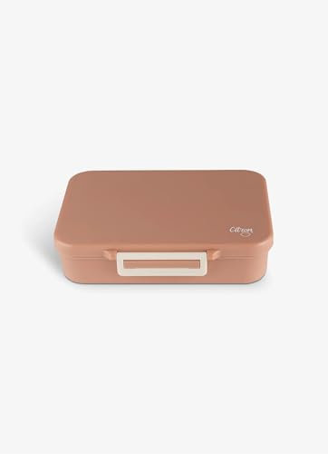 Citron Ensembles de vaisselle de marque Modèle Plateau moyen en tritan rose