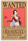 NANXIANG Anime One Piece Wanted Poster Boa Hancock Poster Kunstdruck Wand Foto Farbe Poster Hängendes Bild Familiendekoration 20 x 30 cm