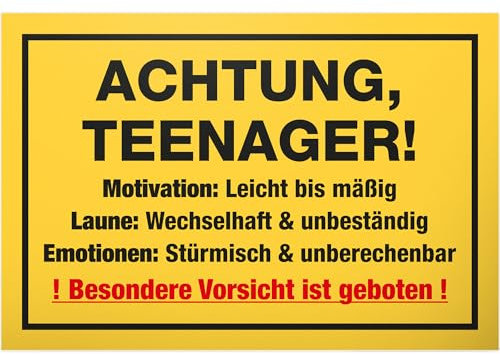 DankeDir! Teenager Motivation - Schild 30 x 20 cm - Geschenkidee Jungen & Mädchen Türschild Teenager Zimmer Spruch - Geschenk Idee Geburtstag Zimmer Deko Jugendliche Tür Deko Dekoration