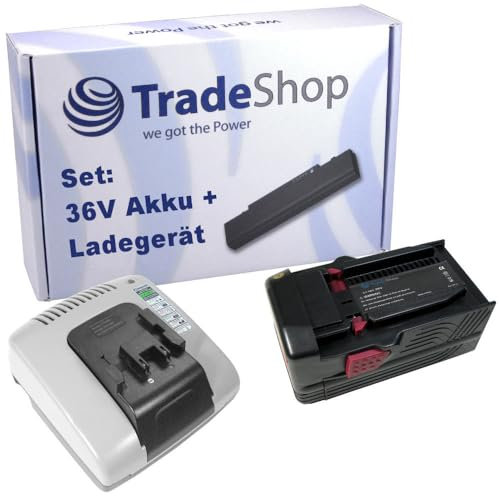 Trade-Shop 2in1 Angebot im Set: Akku Schnellladegerät mit 2X USB Anschluss + Li-Ion 36V 5000mAh Akku kompatibel mit Hilti B36 B36V TE6A TE7A