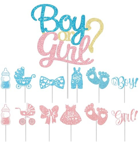 1 Große Geschlechtsenthüllungskarte, 12 Kleine Kuchenkarten, Tortenaufsätze, Babyparty-Partydekorationen