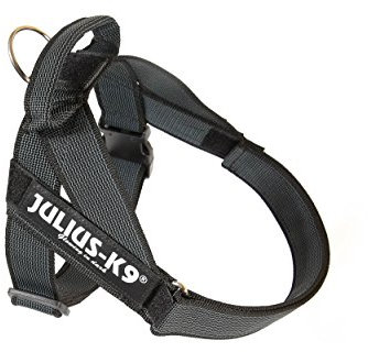 Julius-K9, Color & Gray, Beltgeschirr