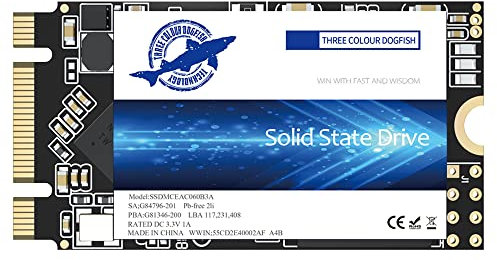 Dogfish SSD M.2 2242 500GB unit?a Stato Solido Interne Drive a Stato Solido Interno da Integrata Laptop Hard Drive M2 (M.2 2242 500GB)