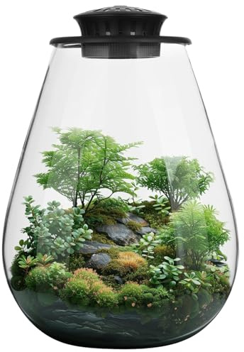 Mini terrarium de bureau en verre avec lumière de croissance – Jardinière pour plantes succulentes – Paysage de jardinage miniature, aquarium Betta, croissance des plantes d'intérieur, décoration de