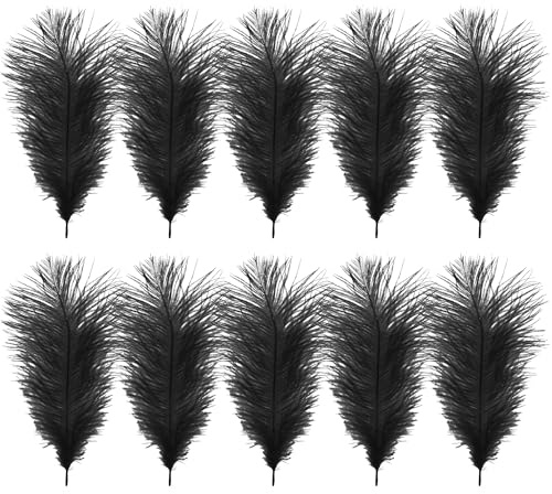 WedDecor Black Natural Ostrich Feathers 14-16 Inch (35-40cm), Pack of 10 | Craft Feathers for Wedding Centerpieces, Home, Decorating Costumes, Embellishment, Art & Craft, Parties