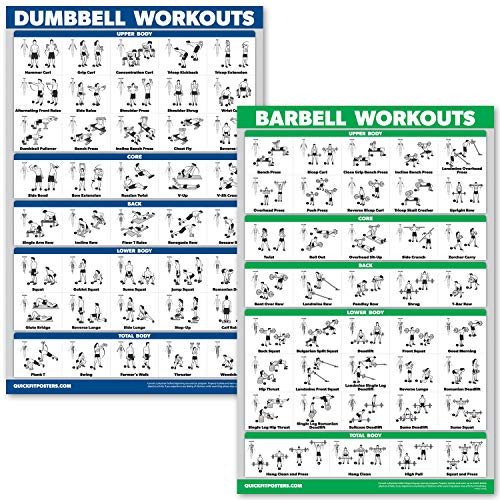 QuickFit Hanteltraining- und Langhantel-Übungsposter-Set (in englischer Sprache) – laminiertes 2-teiliges Diagramm-Set, laminiert, 18 x 27