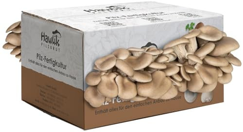 Hawlik Pilzbrut - Austernpilzkultur Zuchtset - Pilzkultur zum selber züchten - bis zu 1.5 kg frische Austernpilze ernten (klein) - Pilze züchten Set