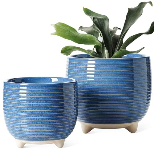 LE TAUCI Vaso per Piante in Ceramica, Vasi con Piedi da 12 + 16 cm per Piante, Vaso da Fiori Moderni e Carini per la Casa e l'Ufficio, Piccoli Vaso per Piante da Interno con Fori di Drenaggio, Blu