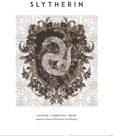 Pyramid Kunstdruck Harry Potter Slytherin, 30 x 40 cm