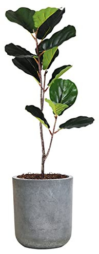 SANDYBAYTAS Maceta Redonda de hormigón, Maceta de 8 Pulgadas con Agujero de Drenaje, macetas Grandes de Cemento para Plantas de Interior y Exterior, 9.3 Pulgadas de Alto, Gris Pizarra