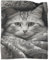 ZbOLi Tierwelt Decke Katze Gemütliche Klimaanlage,leichte Decken,Reisen,Camping,Flanelldecke,Bettdecke Für Teenager,Jungen,Mädchen,Erwachsene 60x80inch(150x200cm)