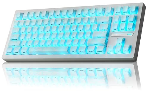 ZORNHER ZH870 Wireless Gaming Mechanical Keyboard,80% White Gaming Keyboard with White Spider Web IMD PC Keycaps,Creamy Sounding Linear Switches,Hot-Swappable,RGB Backlit