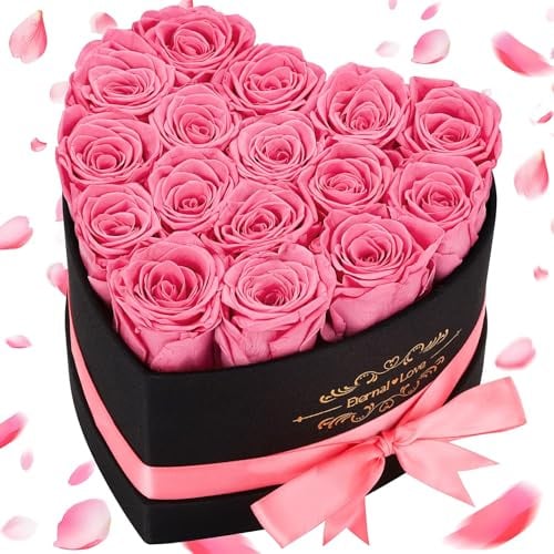 MestectPET 16 Rosa Ewige Rosen Herz Geschenkbox, Infinity Rosen Konservierte Blumen Rosenbox, Valentinstag Muttertag Geburtstag Hochzeitstag Geschenke für Mutter Freundin Ehefrau Oma Frauen Frauen