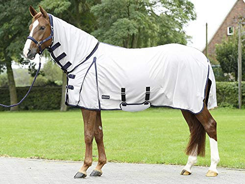 BUSSE Paddock-Fliegendecke COMFORT