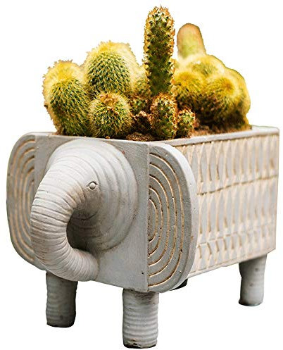 Ganeep Elefant-Form Blumentopf Zement Blumentopf Kaktus Pflanzen Topf einfache Art und Weise Saftige Topf Folk-Custom-Art Kreative Speicher Home Innen Außen Balkon Dekoration (Größe : S)