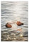 Generisch Young Royals Filmposter 02, Leinwand-Poster, Schlafzimmer-Dekor, Sportlandschaft, Büro, Raumdekoration, Geschenk, ungerahmt: 30 x 45 cm