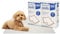 Harbour Housewares 50x Disposable Puppy Pads - 60cm x 60cm - Large Absorbent Puppy Training Pads Leak-Proof Pee Pads for Dogs, Cats, Kittens Potty Training Mats