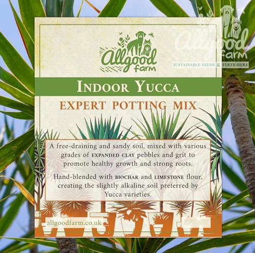 Allgood Farm Yucca Soil - Indoor Yucca Expert Potting Soil Mix (1 Litre)