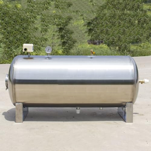 guoyjmm Drucktank Edelstahl, 100 160 200L Ausdehnungsgefäß Heizung Automatische Leitungswasser, Wasserspeicher Drucktank 220V, für Haus/Garten/Landwirtschaft,160L/42.3Gal
