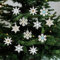 com-four® 12x Tannenbaumschmuck Holz-Anhänger - Weihnachtsbaumschmuck zum Dekorieren - Christbaumschmuck im Schneeflockendesign