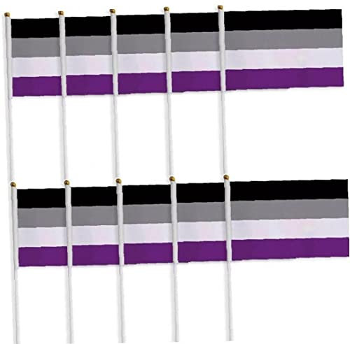 10 Pack Asexuelle Stolz Regenbogenflaggen Asexuelle Kleine Mini Hand Held Stick Flagge Schwule LGBT Festival Party Paraden Dekorationen
