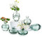 EylKoi Kleine Vasen füR Tischdeko Glas 2 Sätze(6 Stück) Grün Mini Vase Vintage Handmade Hydroponic Glasvase Blumenvase Modern Set Fuer Hochzeit Tischdeko, Zuhause Wohnzimmer Blumen Rose