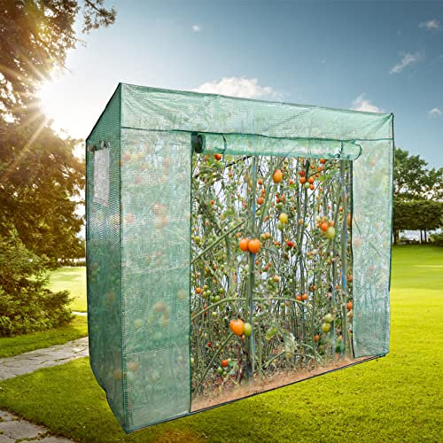 Ikodm Gewächshaus Foliengewächshaus 200 x 80 x 170/150cm (LxBxH) mit Gitternetzfolie und Fernster, Tomatengewächshaus tomatenhaus 140 g/㎡ PE wasserdichte Folie für Garten Pflanzenwachstum