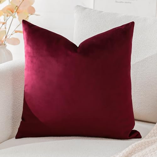 Artscope Samt Kissenbezug Kissenhülle Dekorative Dekokissen Sofakissen Lendenkissen Wurfkissenbezug Sofa Schlafzimmer 40x40cm Rotwein