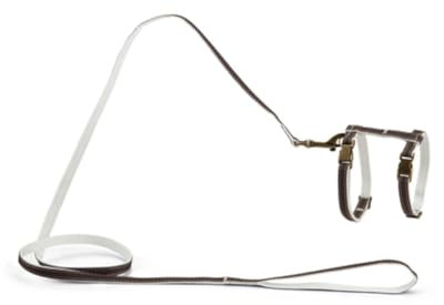 Designed by Lotte Katzengeschirr, Nylon, 10 mm x 27-45 cm, Braun