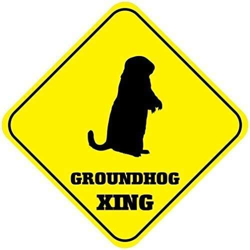 WAGSUO Groundhog Crossing Schilder Quadratisch Lustige Metallschilder für Heimdekoration Kinderzimmer Tor Hofschild Neuheit Geschenke 20,3 x 20,3 cm