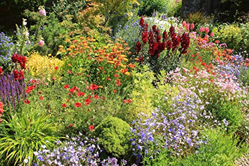 VLIES Fototapete-GARTEN LANDSCHAFT-(PF1087)-450x280 cm-Pflanzen Blumen Botanik Gras Natur Bäume Wiese Park Wandbild Wandtattoo Poster Dekoration