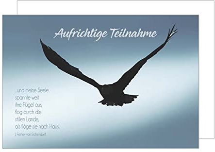 Edition Seidel Premium Trauerkarte mit Umschlag. Beileidskarte mit Spruch Trauer Karte Vogel Flügel aufrichtige Teilnahme Abschied Anteilnahme Mitgefühl (T953 SW022)