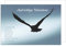 Edition Seidel Premium Trauerkarte mit Umschlag. Beileidskarte mit Spruch Trauer Karte Vogel Flügel aufrichtige Teilnahme Abschied Anteilnahme Mitgefühl (T953 SW022)