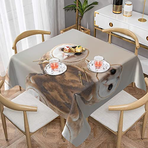 DMORJ Lustige Tischdecke mit Eulen-Aufdruck, rund, 152,4 x 152,4 cm, perfekt für Buffet-Tische, Partys