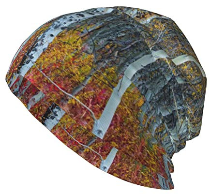 BEEOFICEPENG Totenkopfmütze, Beanie-Mütze, Strickmütze, Sturmhaube, Slouchy-Beanie-Mütze, Laufmütze, Unisex, Wald des Naturparks von Peneda Geres