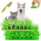 Silicone Grass Mat for Cats, Indoor Interactive Sniff Mats for Dog Cat Pet, Slow Feeding Mat for Pets, Cat Grass Mat Food Toy, Encourages Natural Foraging Skills (Green, 2 PCS)