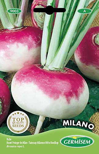Germisem Milano Semillas de Remolacha 10 g (EC9003)