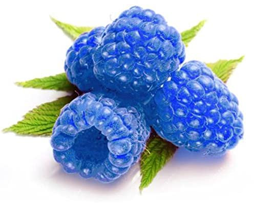 Generic 1000 Pz Semi di Lampone Framberry Frutta Deliziosa Casa Giardino Cortile Fattoria Pianta per Cucina Davanzale Giardinaggio Regalo Blu Semi Di Lampone