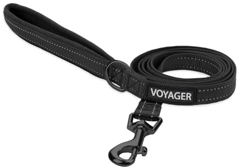 Voyager Reflektierende Hundeleine mit Neoprengriff, 1,8 m lang, unterstützt kleine, mittelgroße und große Rassen, niedlich und strapazierfähig zum Gehen, Laufen und Training, Schwarz, L
