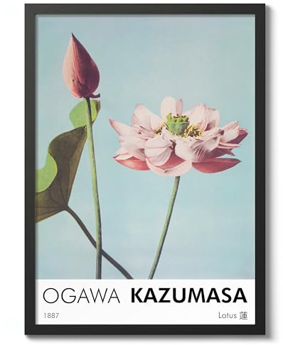 Lotus Flowers Ogawa Kazumasa Poster, japanische Blume, Fotodruck, Vintage-Blumenkunst, Bild, Foto, Wandkunst, Ausstellung, Archivierung, matt, A1 (schwarzer Rahmen) – 84,1 x 59,4 cm