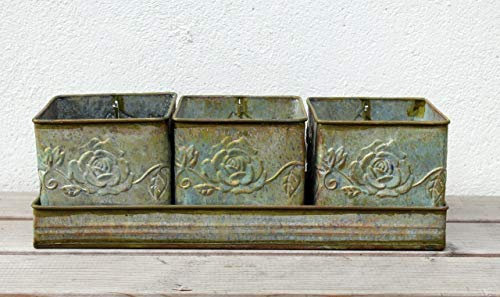 Gwenys Haus 3er Set Nostalgie Blumentöpfe