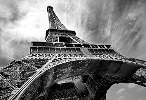 Forwall Fototapete Vlies Tapete Wanddeko Stadt Brücke - Ausblick Stadtpanorama Paris Eiffelturm Moderne Wandtapete Wanddekoration 10215VEM 104cm x 70,5cm Schlafzimmer Wohnzimmer