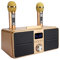 ASHATA Tragbares Karaoke-Mikrofonsystem-Set, mit Dual-Wireless-Mikrofon, Bluetooth 4.2, Speicherkarte, AUX, USB-Flash-Disk für Heim-Karaoke, Meeting, Party, Kirche Usw.(Gold)