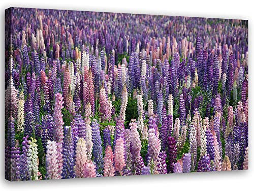 Feeby Vlies Leinwandbild Blumen Wiese Neuseeland 30x20 cm Wand Bild Kunstdruck Deko Wohnzimmer Wohnungs Deko Pflanzen Wildblumen Abend Violett