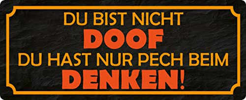 Metall Schild 27x10cm Du bist nicht doof Sprüche Blechschild