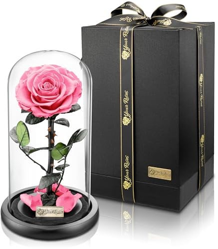 YourRoses® echte Premium Rose im Glas mit Einer wunderschönen Geschenkbox | Lange Haltbarkeit & edles Geschenk als Liebesbeweis | EIN Geschenk vom Herzen
