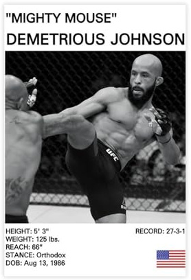 SFQQE Demetrious Johnson, Mighty Mouse Poster, Leinwandposter, Wandkunst, Dekordruck, Gemälde für Wohnzimmer, Schlafzimmer, Dekoration, 30 x 45 cm