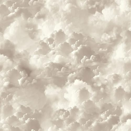 Arthouse Vanilla Skies Wallpaper Neutral (100189AH)