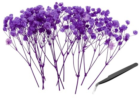 PATIKIL Mini Kit Fiori Secchi Di Gypsophila, 30Pz Mazzi Di Fiori Pressati Naturali Rosa Viola 4 Pollici Con Pinzetta Per DIY Resin Crafts Regalo Decorazioni Per Matrimoni Natale Bouquet